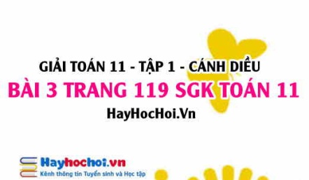 Giải bài 3 trang 119 Toán 11 tập 1 SGK Cánh Diều